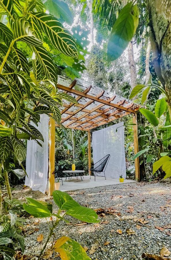 Casa Eden - Modern Peaceful Jungle Apartments Cocles Exterior foto
