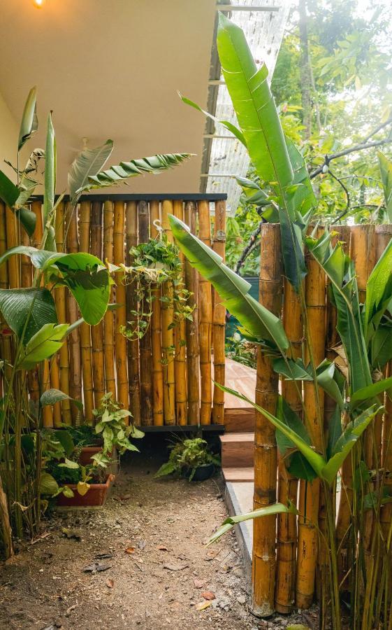 Casa Eden - Modern Peaceful Jungle Apartments Cocles Exterior foto